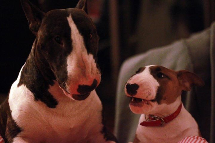 Heaven White Goose pimples amjelicious