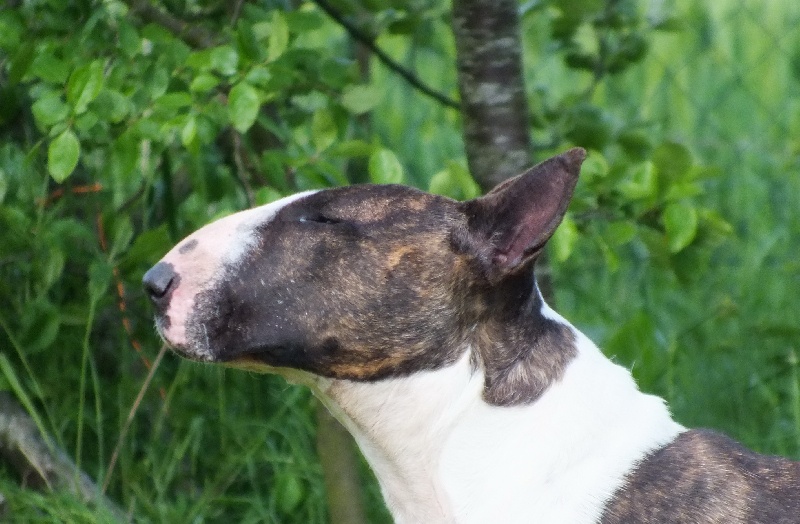 Publication : Heaven White Auteur : melanie