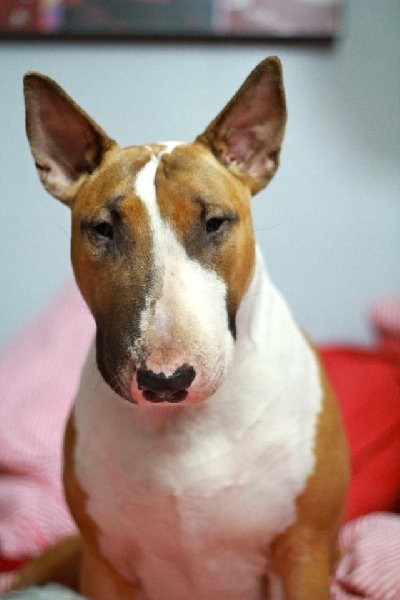 Heaven White Goose pimples amjelicious