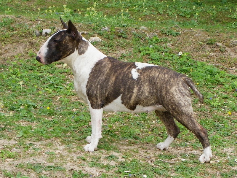 Publication : Heaven White Auteur : melanie