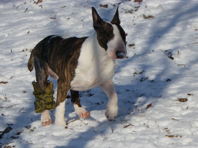 Publication : Heaven White Auteur : melanie