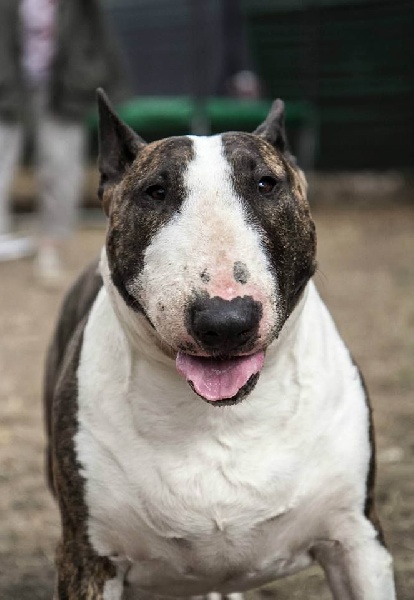 Publication : Heaven White Auteur : melanie