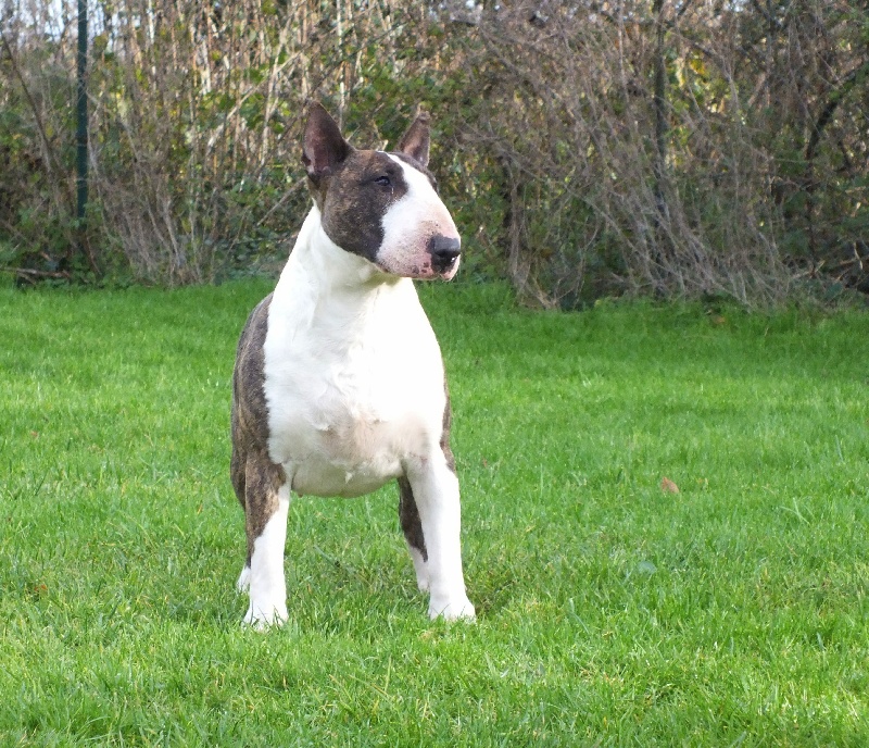 Publication : Heaven White Auteur : melanie