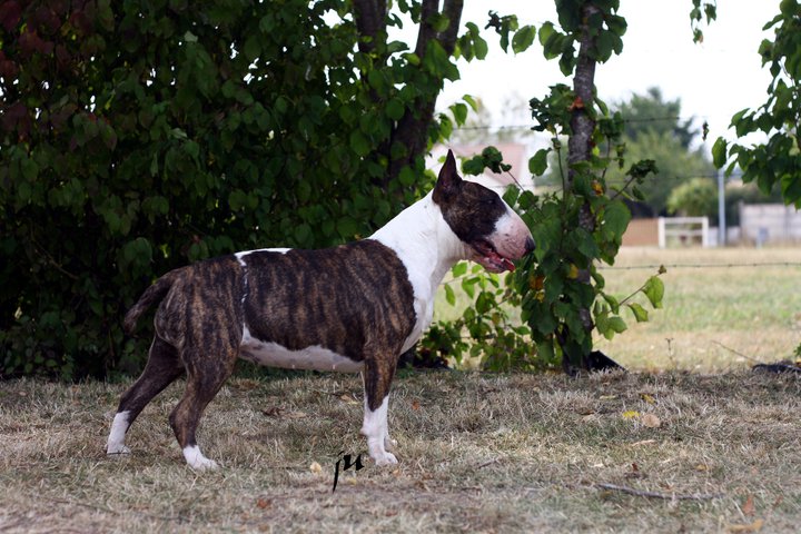 Publication : Heaven White Auteur : melanie