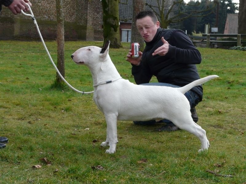 Heaven White Line dreams