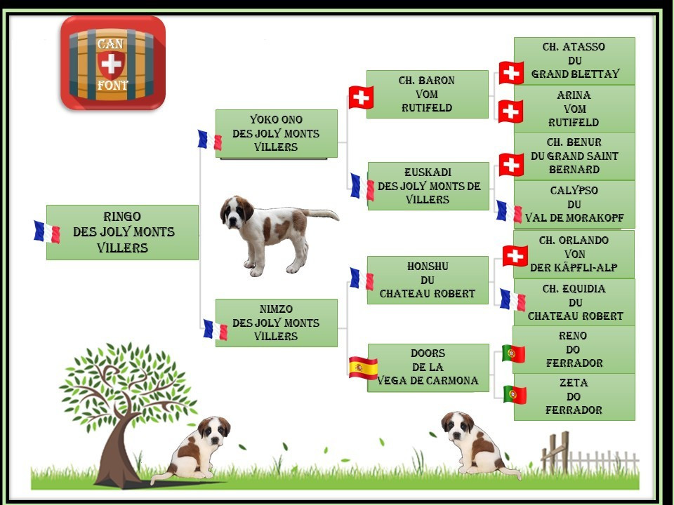 Ringo des joly monts de villers