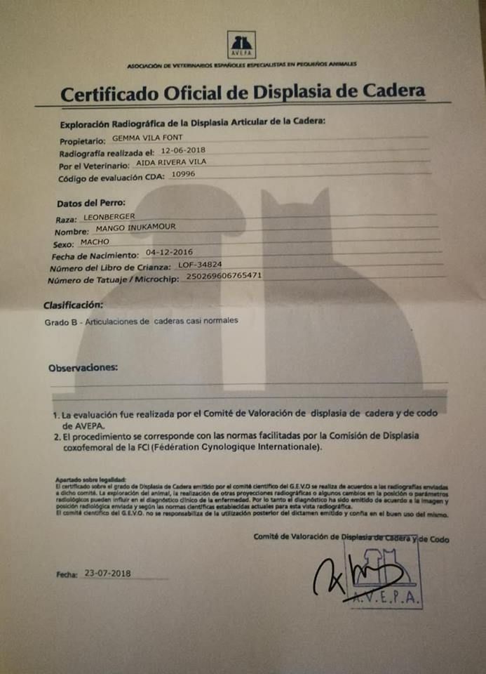 Publication : de Can Font Auteur : CANFONT