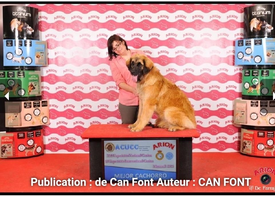 Laria nice de Can Font