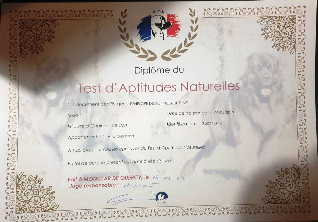 TR. PÉnÉlope du Bonnie Blue Flag - EXC 2+ TAN