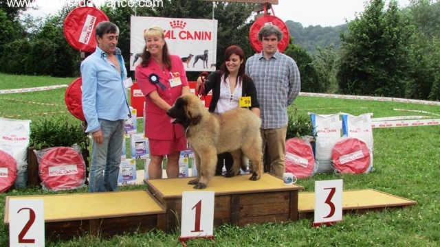 TR. CH. Idole wady du chemin de dolimon - BEST VERY PUPPY 1 - BOB-BOS-BPISS I