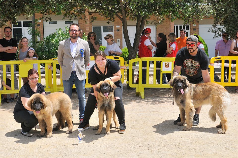 Ottawa de Can Font - MB 1 -MMC- BEST BABY