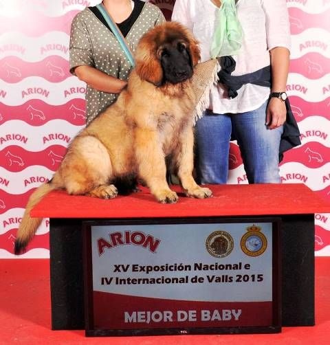 Lanka d´corail de Can Font - BEST BABBY 1º- MMC 1º