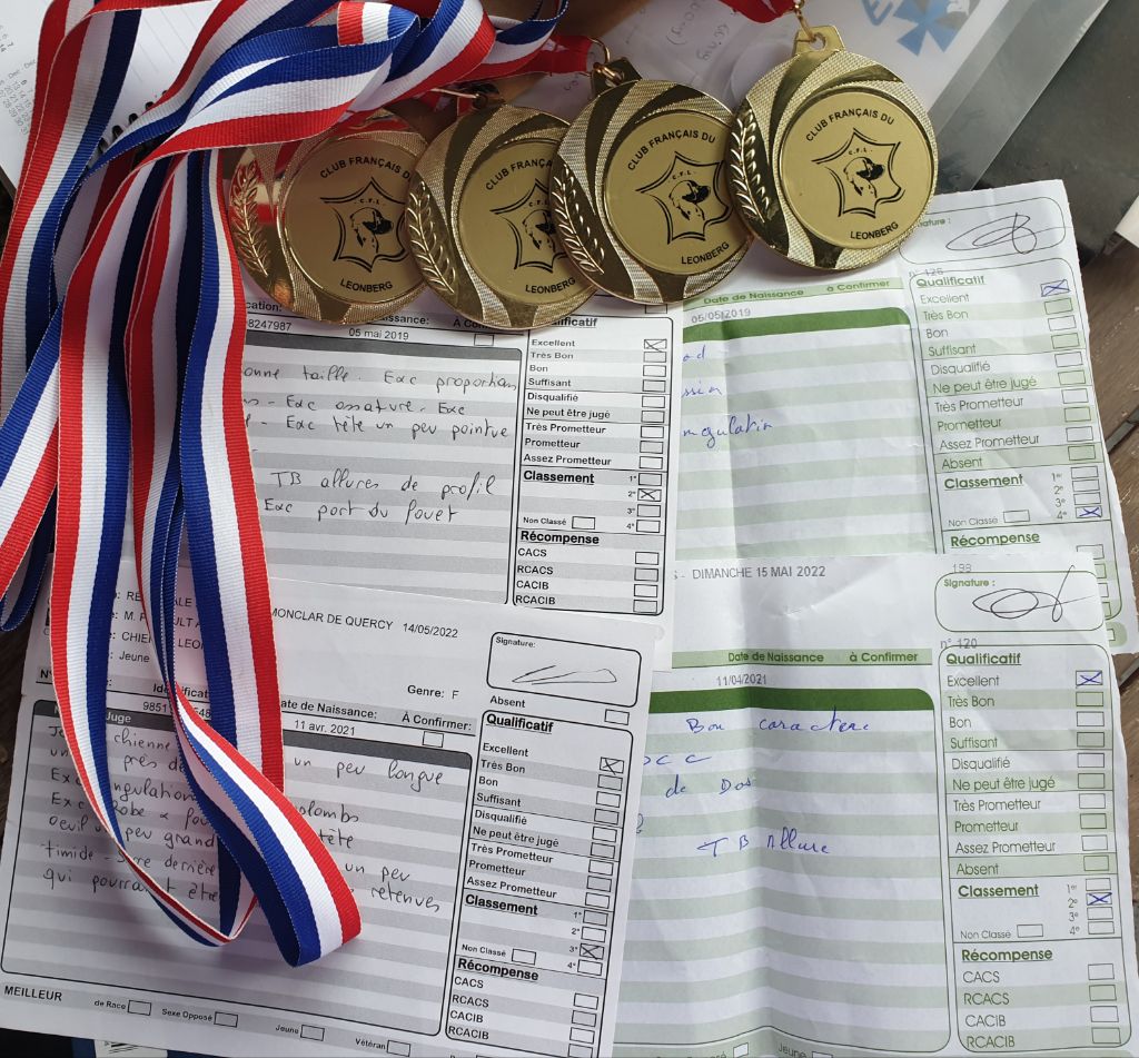 TR. PÉnÉlope du Bonnie Blue Flag - EXC 4