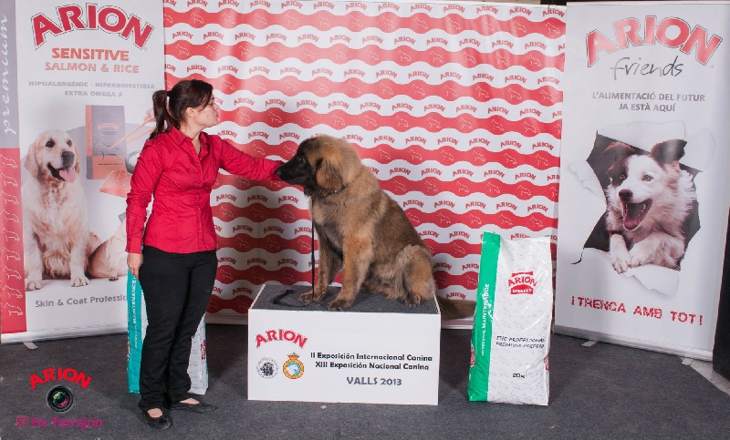 TR. CH. Idole wady du chemin de dolimon - BEST PUPPY-MEILLEUR CHIOT-MEJOR CACHORRO