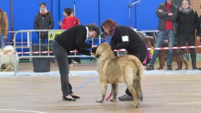 Lanka d´corail de Can Font - MB 1º MC