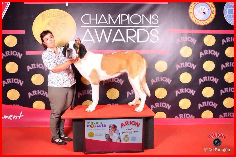 TR. CH. Georgia de Can Font - MB 1º