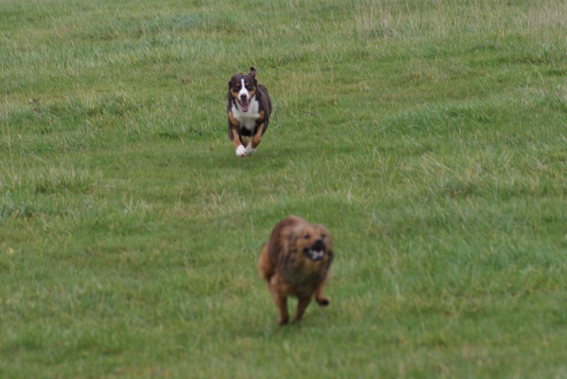 Publication : du Domaine de la Tourbiere