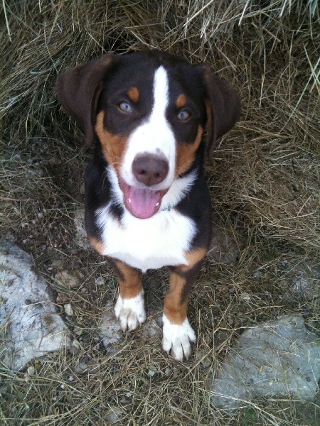 Publication : du Domaine de la Tourbiere