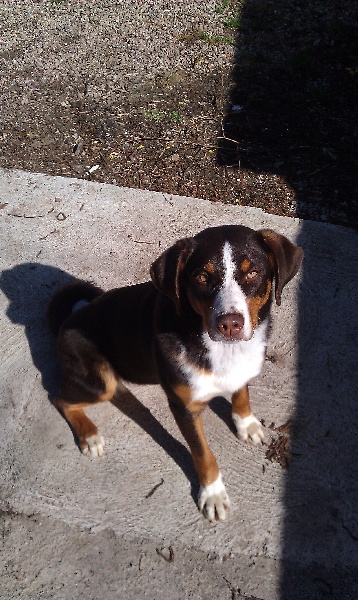 Publication : du Domaine de la Tourbiere