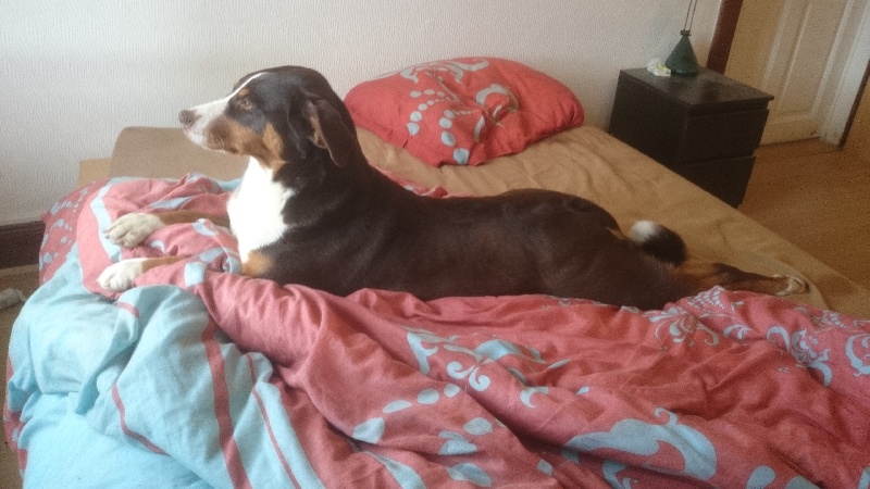 Publication : du Domaine de la Tourbiere