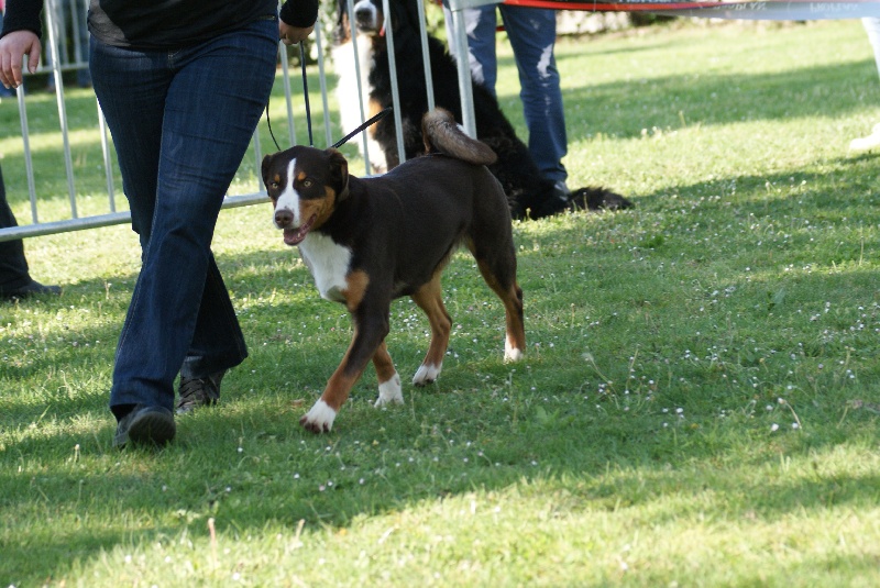 Publication : du Domaine de la Tourbiere