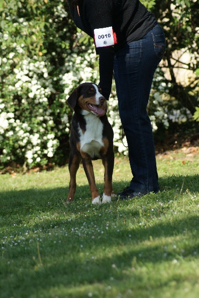 Publication : du Domaine de la Tourbiere