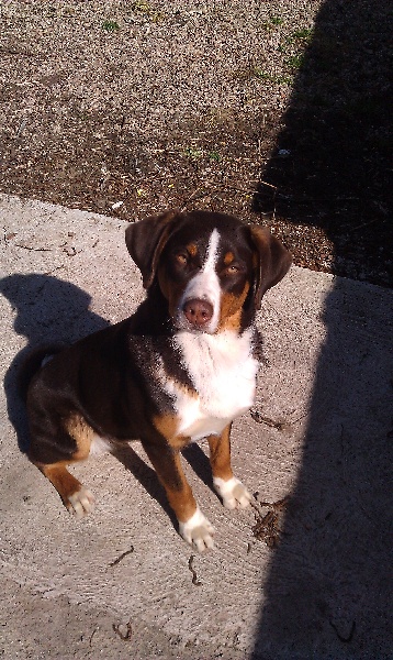 Publication : du Domaine de la Tourbiere