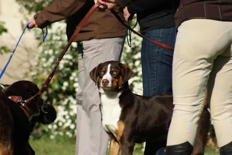 Publication : du Domaine de la Tourbiere