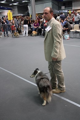 CH. Pitt blue Du puits saint loup - Ecellent - 1er (Meilleur vétéran)