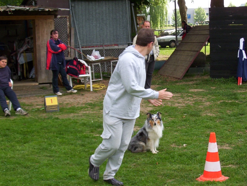 CH. Pitt blue Du puits saint loup - Meilleur chien L.O.F. de la journée