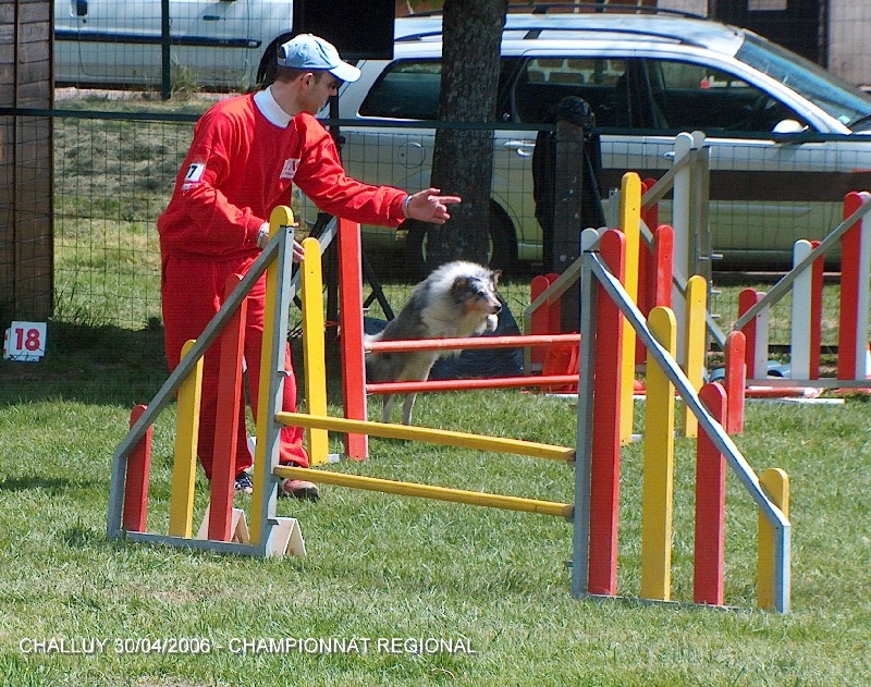CH. Pitt blue Du puits saint loup - Vice-Champion de Bourgogne 2006 - 3ème degré B