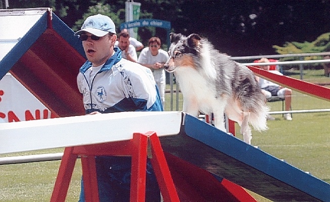 CH. Pitt blue Du puits saint loup - 3ème au Championnat - 5ème à la Coupe - 3ème degré B