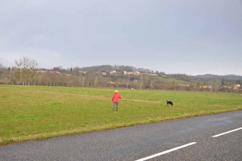 Ena-rose De L' étoile De Bossacora - non classé en libre 68/100 au trait