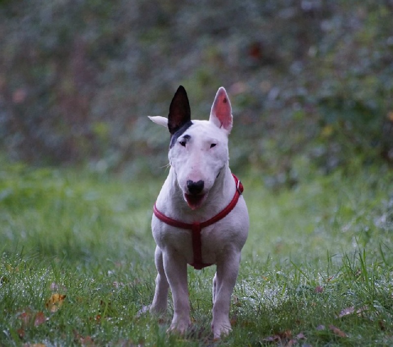 Hey sexy lady de L'ordre des Jedi