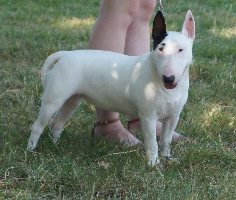 Hey sexy lady de L'ordre des Jedi