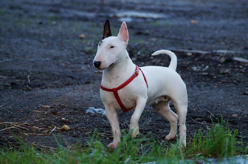 Hey sexy lady de L'ordre des Jedi