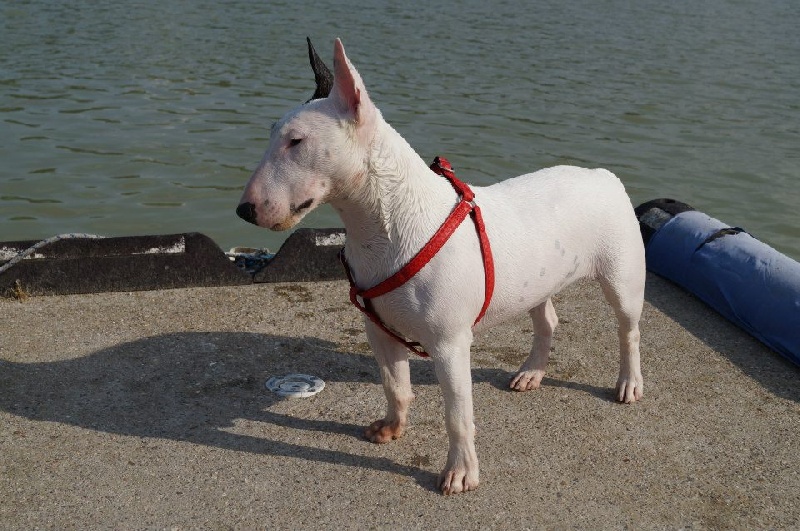 Hey sexy lady de L'ordre des Jedi