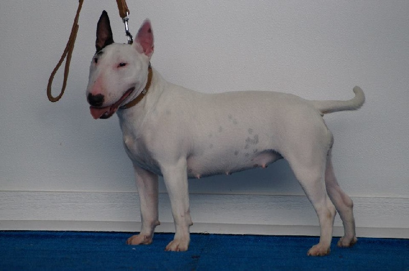 Hey sexy lady de L'ordre des Jedi