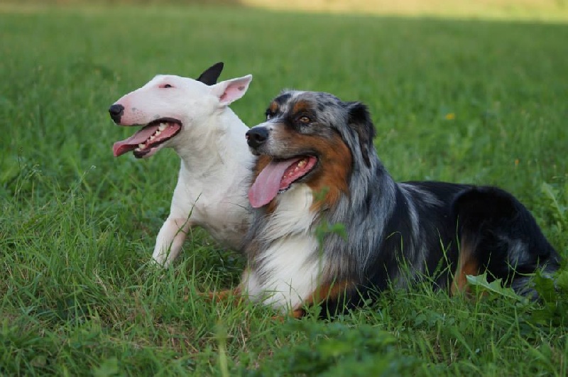 Hey sexy lady de L'ordre des Jedi