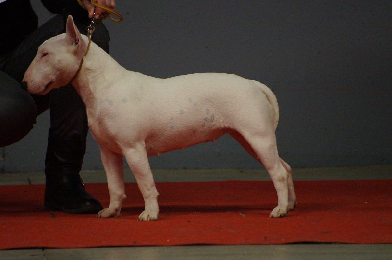 Hey sexy lady de L'ordre des Jedi