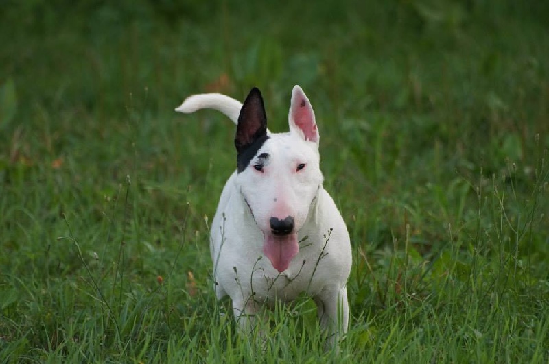 Hey sexy lady de L'ordre des Jedi