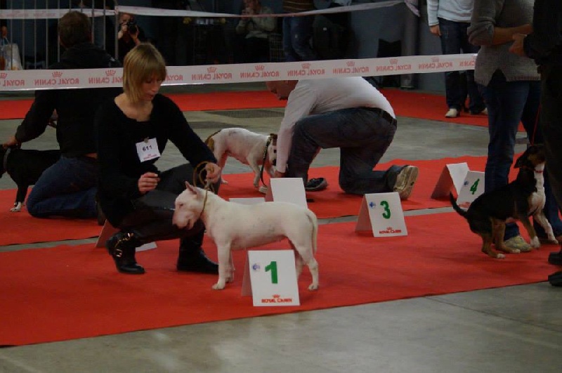 Hey sexy lady de L'ordre des Jedi