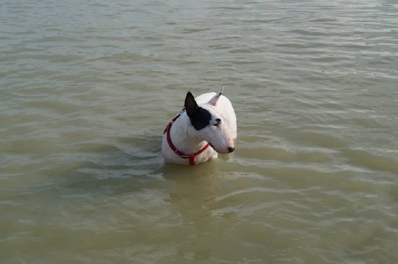 Hey sexy lady de L'ordre des Jedi