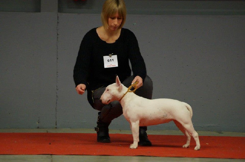 Hey sexy lady de L'ordre des Jedi