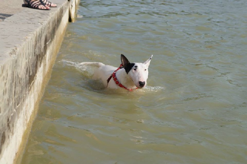 Hey sexy lady de L'ordre des Jedi