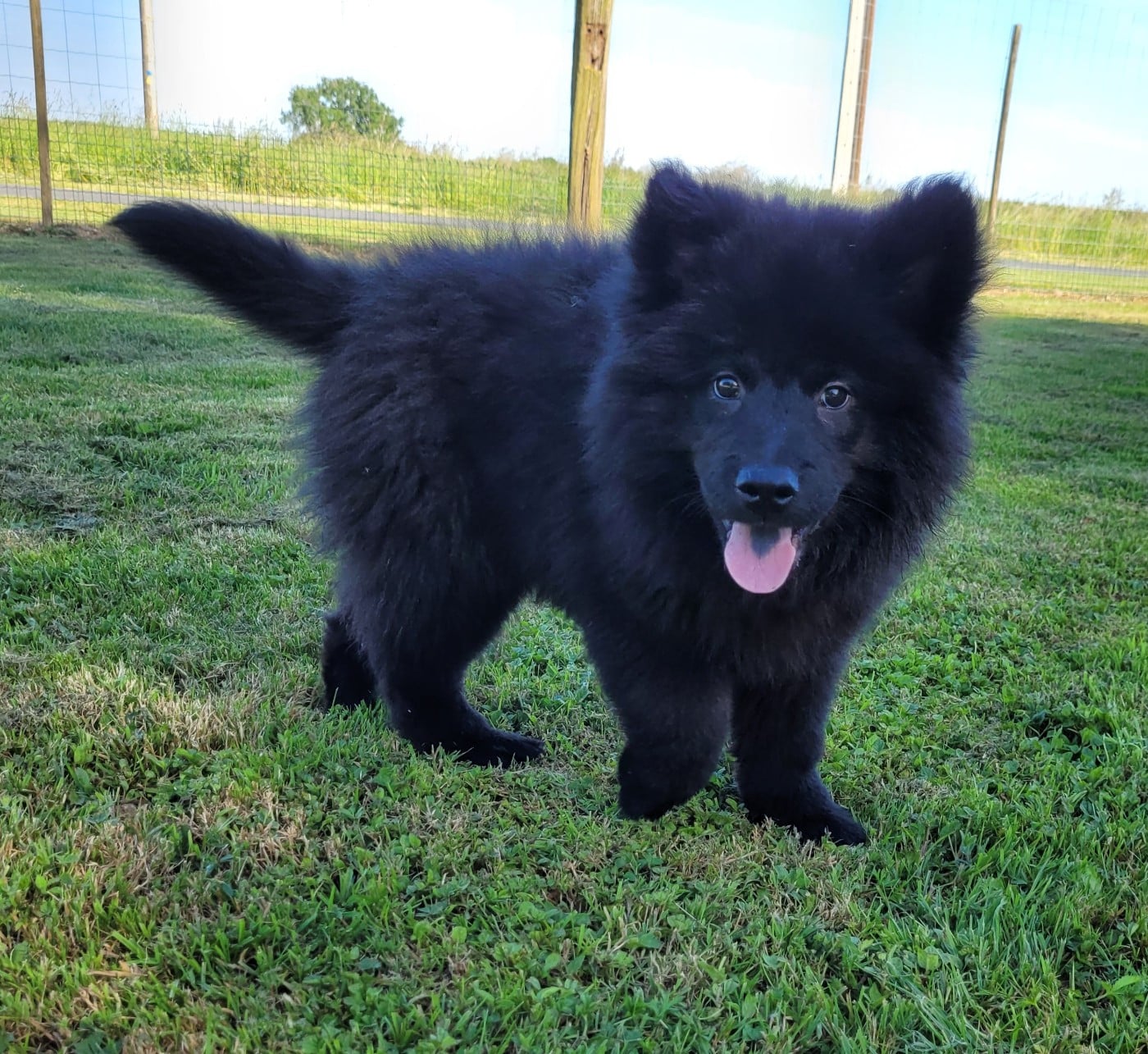 BERLIOZ
