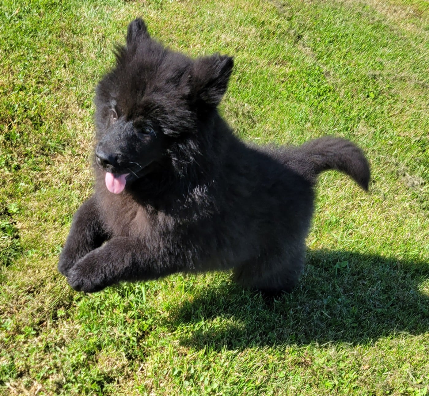 BERLIOZ