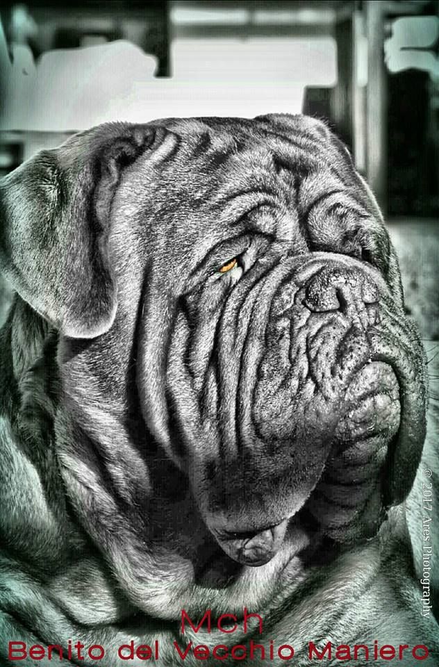 Publication : de la tribu de Laza