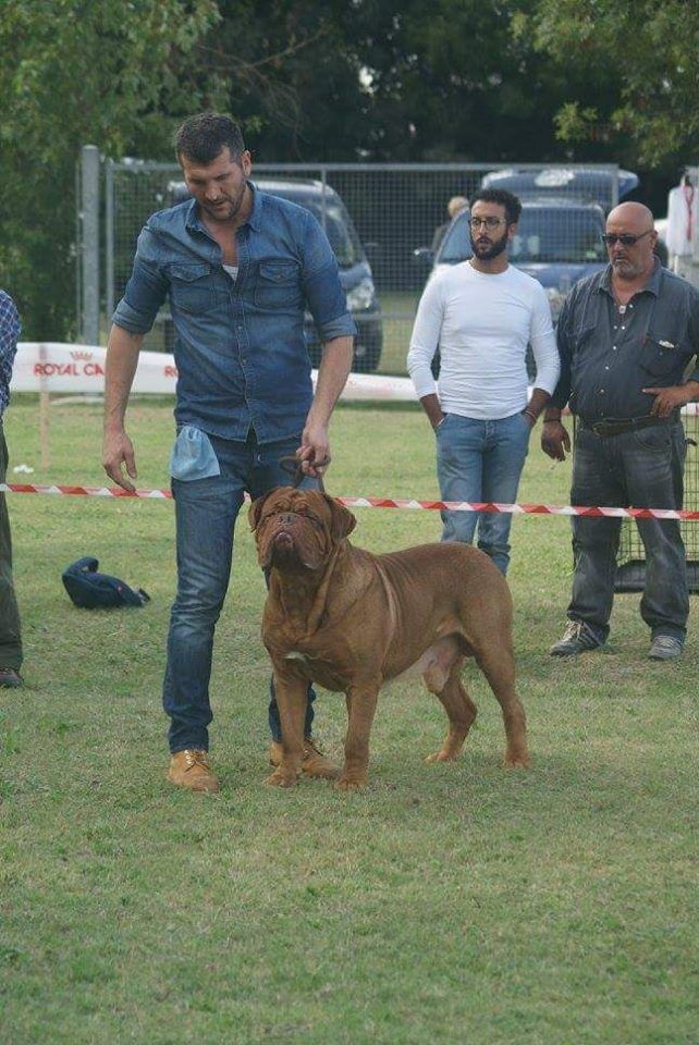 Publication : de la tribu de Laza