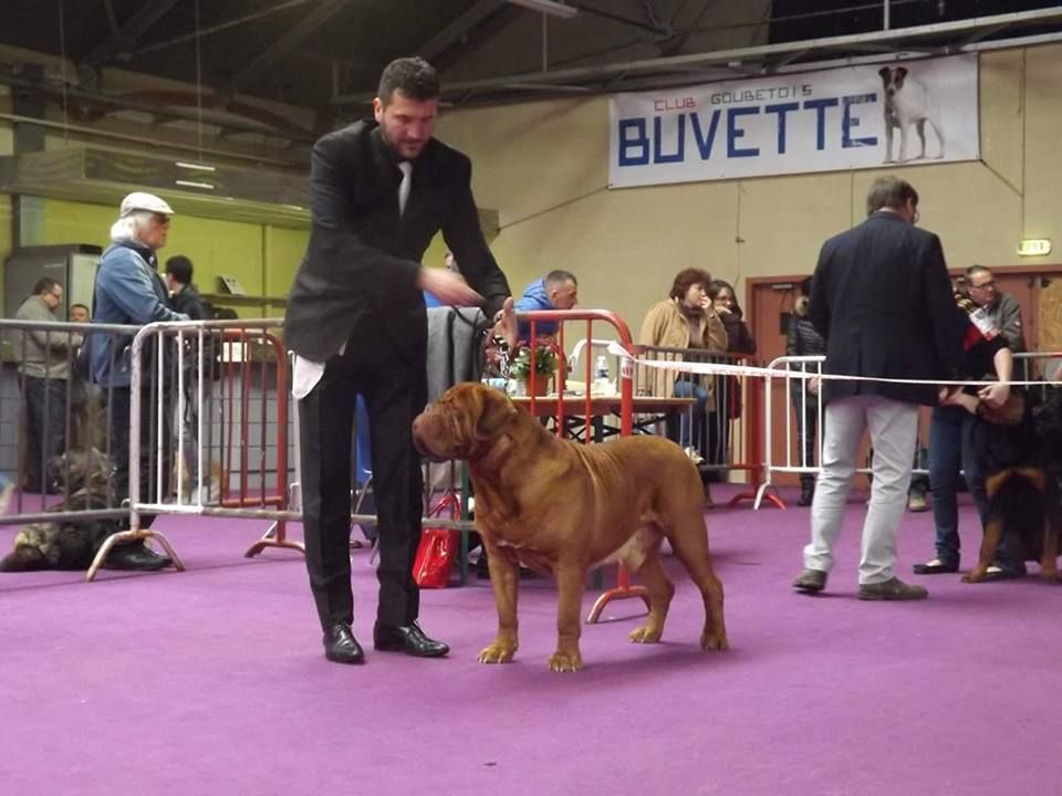 Publication : de la tribu de Laza